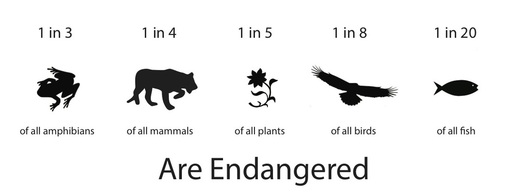 Endangered species, amphibians, mammals, plants, birds, fish